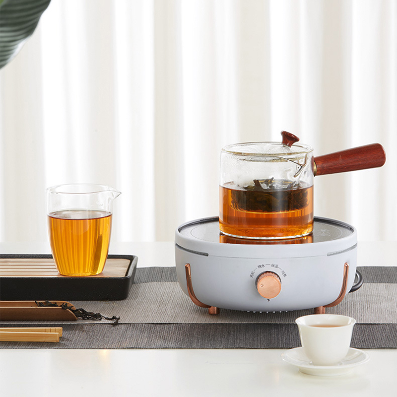 Mini cuisinière électrique mul - Home Cooking Electric avis et prix