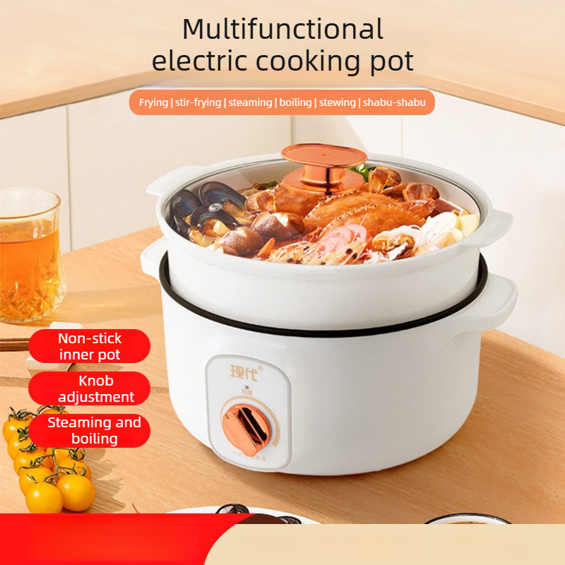 Mini-casserole électrique mult - Home Cooking Electric avis et prix