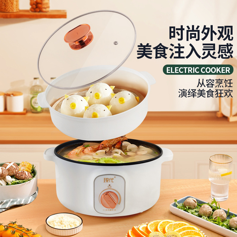 Mini-casserole électrique mult - Home Cooking Electric avis et prix