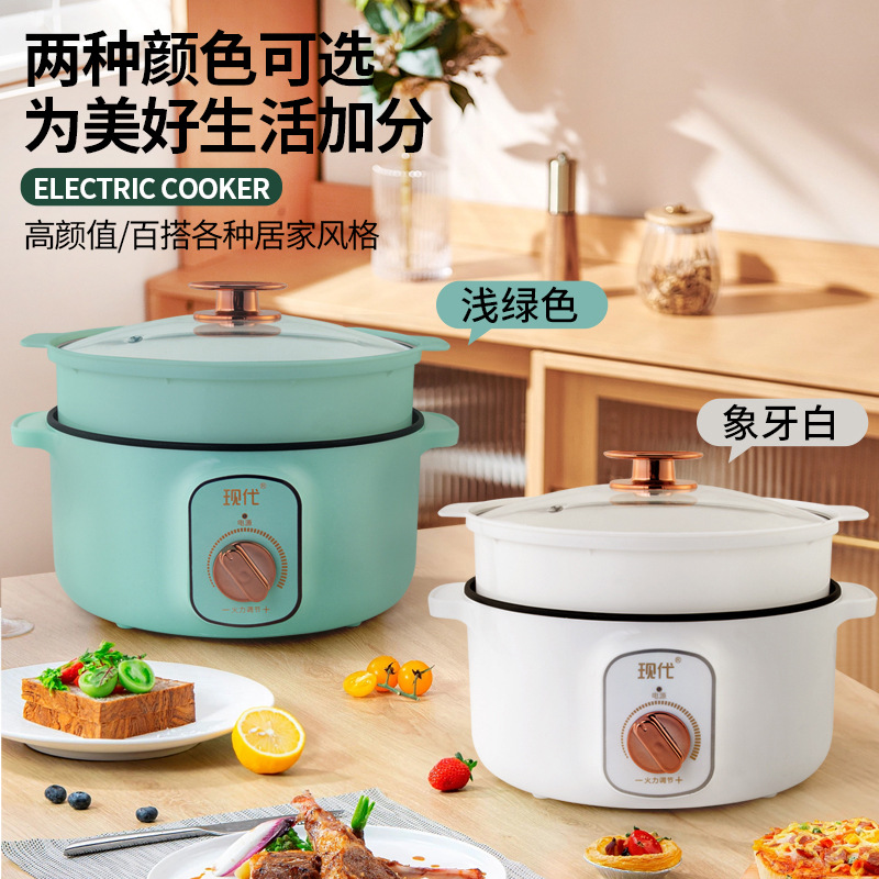 Mini-casserole électrique mult - Home Cooking Electric avis et prix
