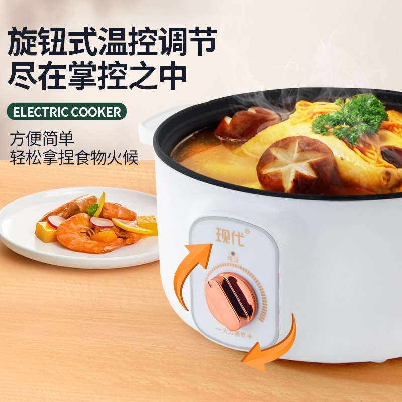Mini-casserole électrique mult - Home Cooking Electric avis et prix