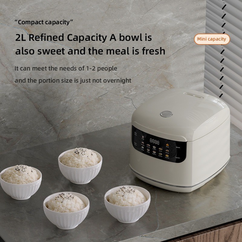 2026 nouveau home110V/220V US  - Uk Home Cooking avis et prix